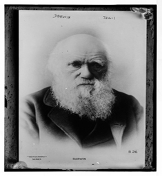 darwin